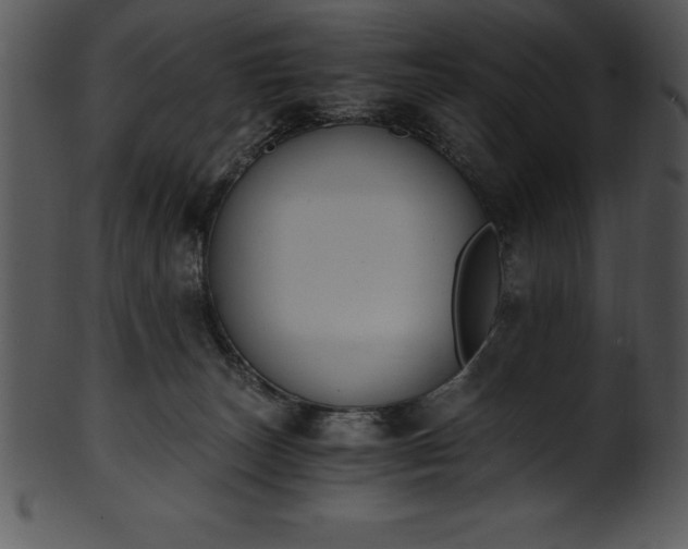 X0000101460179200807141315