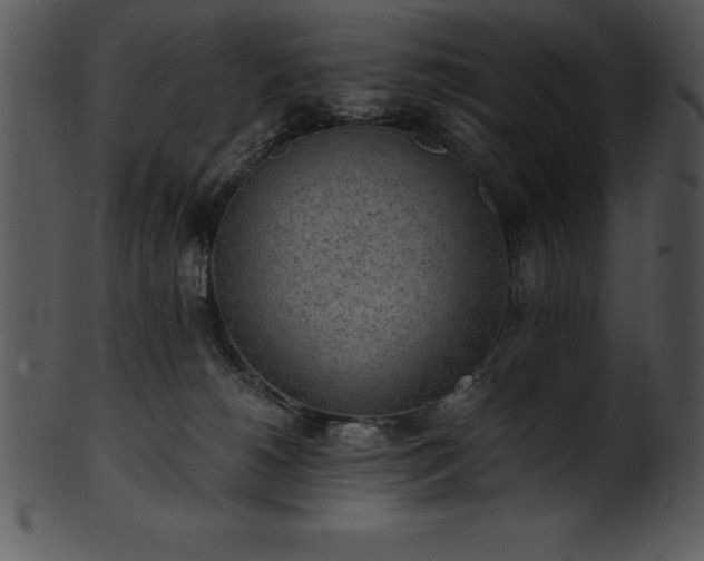 X0000101460180200807141315
