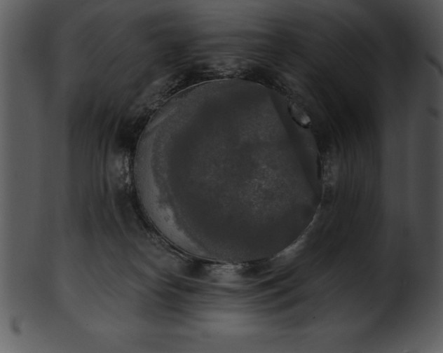 X0000101460182200807141315