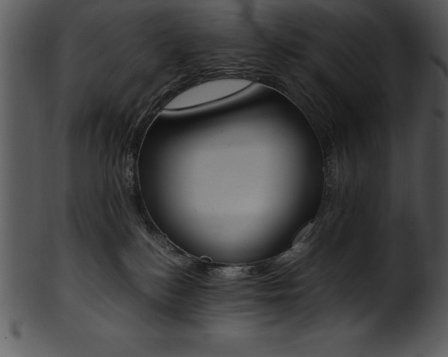 X0000101460184200807141315
