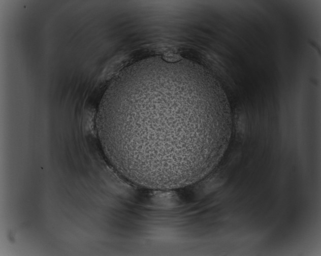X0000101460185200807141315