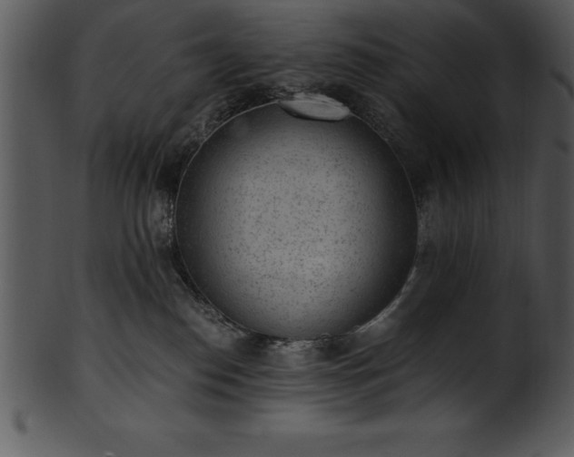 X0000101460186200807141315