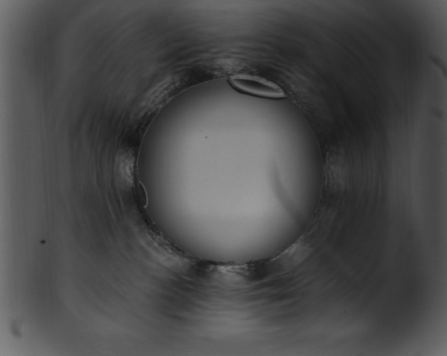X0000101460188200807141315