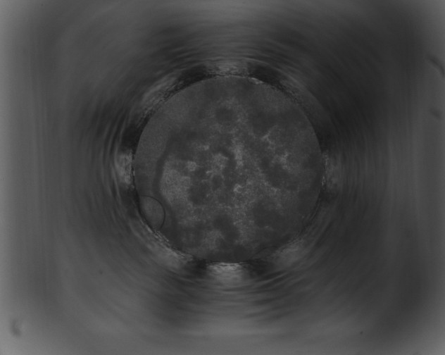 X0000101460189200807141315