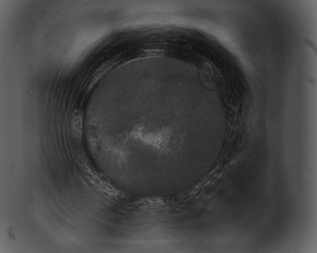 X0000101460194200807141314