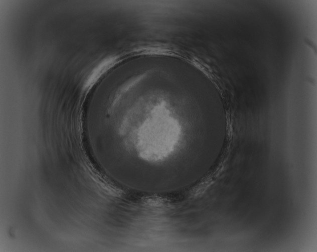 X0000101460199200807141314