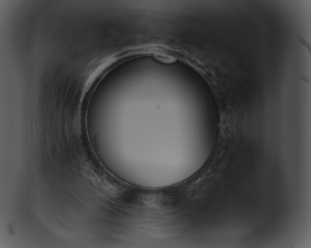 X0000101460200200807141314
