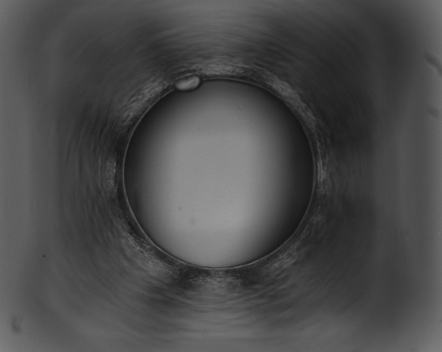 X0000101460201200807141314