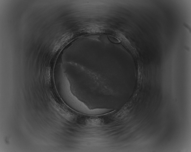 X0000101460202200807141314