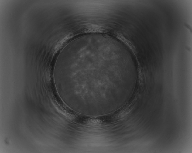 X0000101460203200807141314
