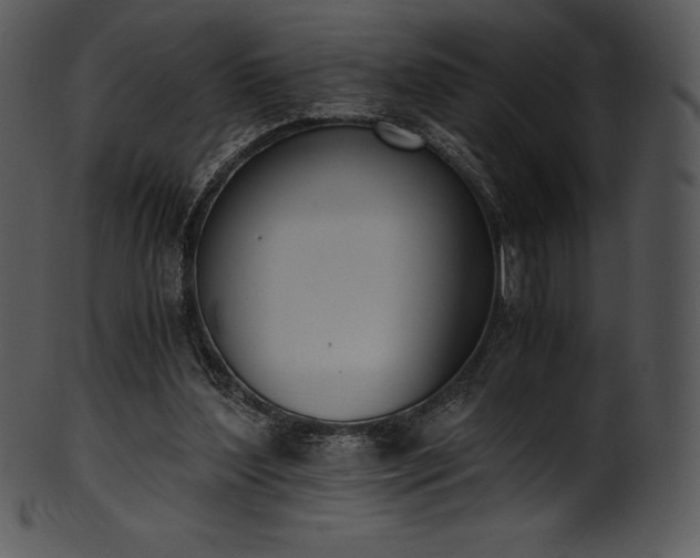 X0000101460204200807141314