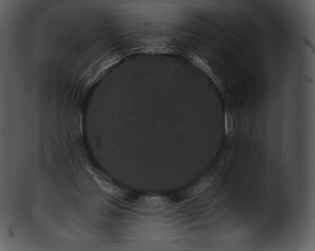 X0000101460205200807141314