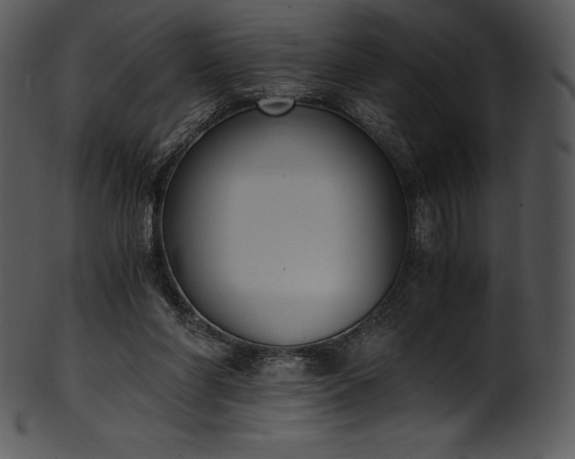 X0000101460206200807141314