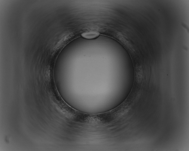 X0000101460207200807141314