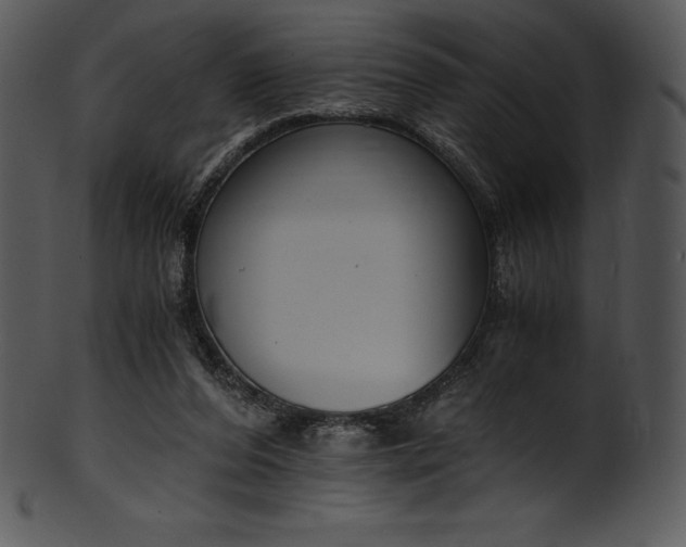X0000101460208200807141314