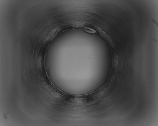X0000101460209200807141314