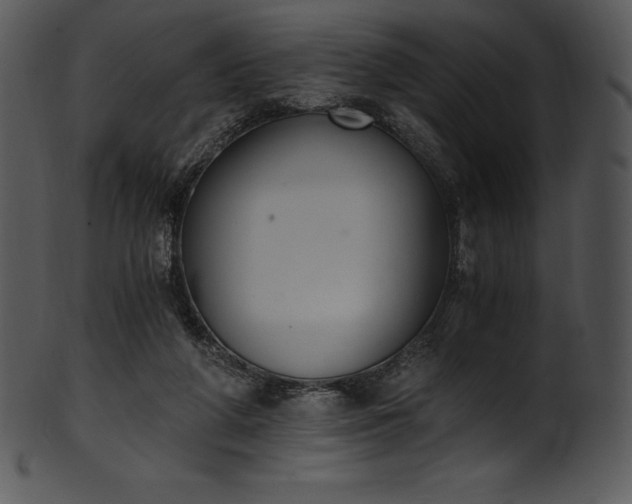 X0000101460210200807141314