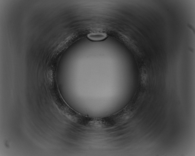 X0000101460211200807141314