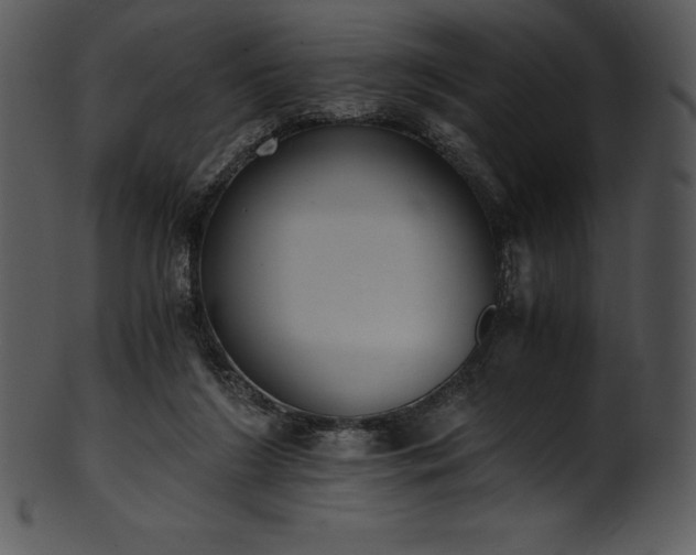 X0000101460212200807141314