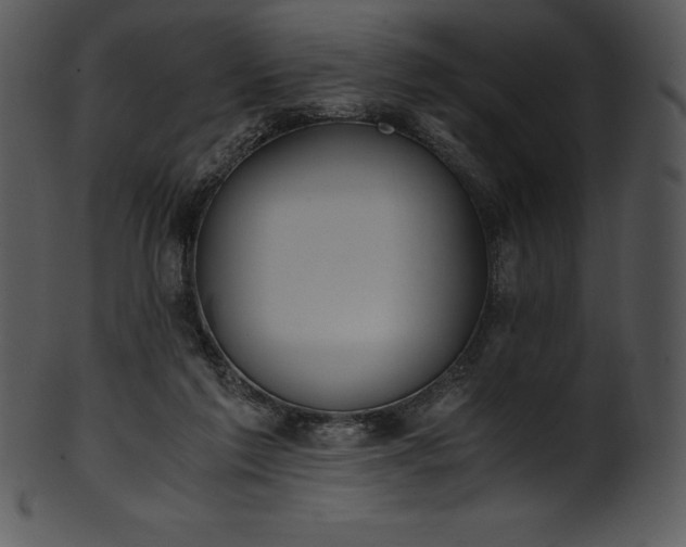 X0000101460213200807141314