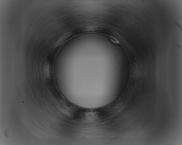 X0000101460216200807141314