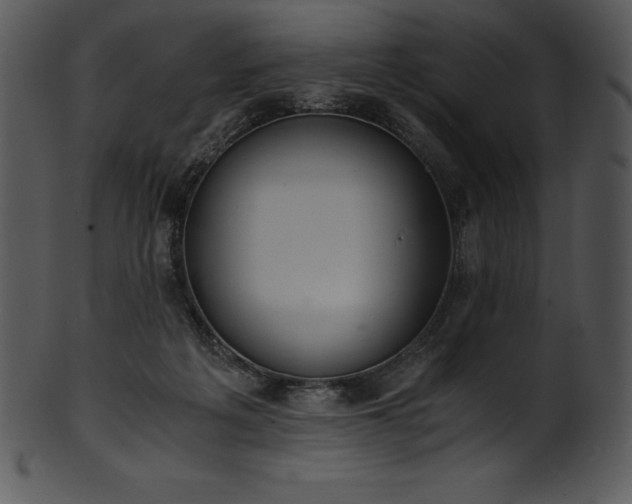 X0000101460217200807141314