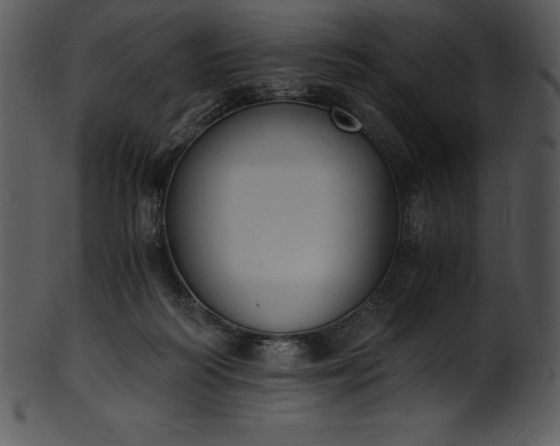 X0000101460218200807141314