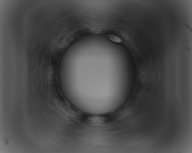 X0000101460221200807141314
