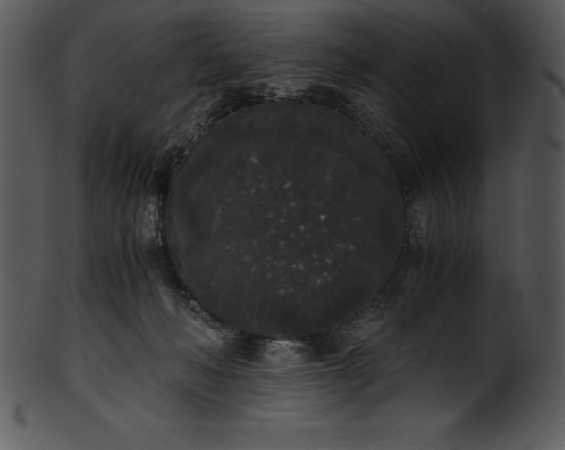 X0000101460222200807141314