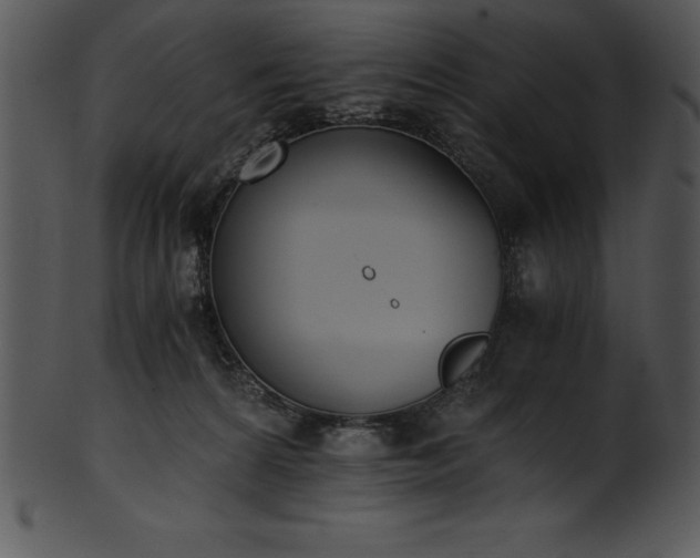 X0000101460224200807141314