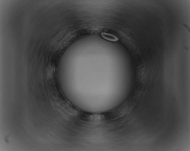 X0000101460225200807141314