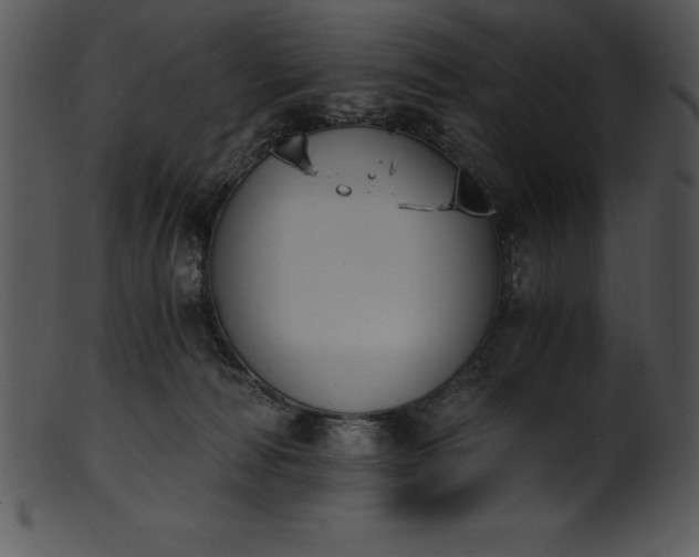 X0000101460226200807141314