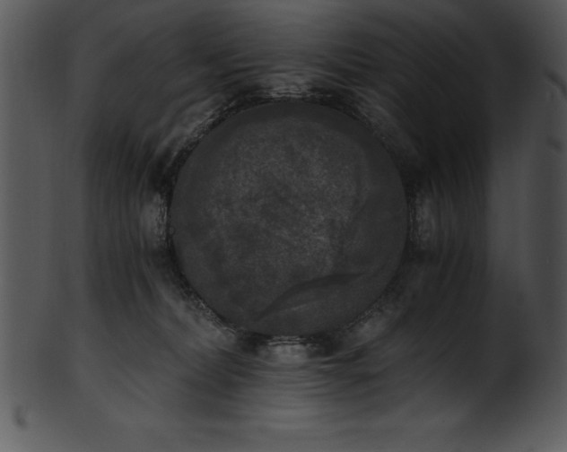 X0000101460228200807141314