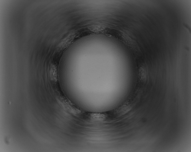 X0000101460234200807141314