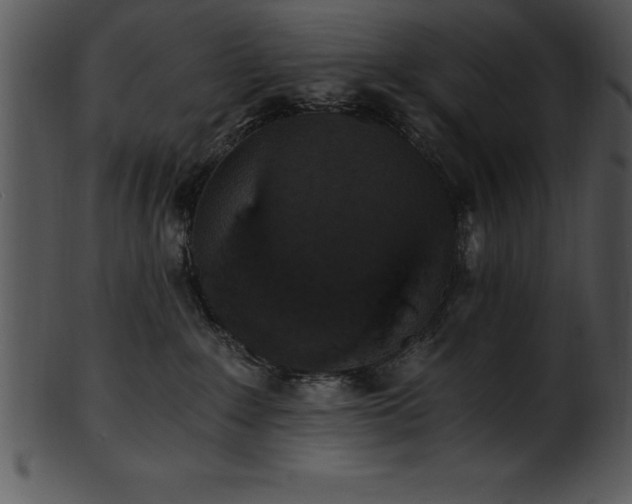 X0000101460235200807141314