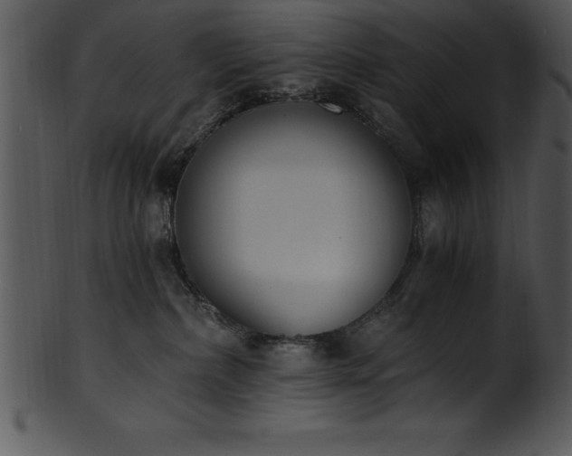 X0000101460236200807141314