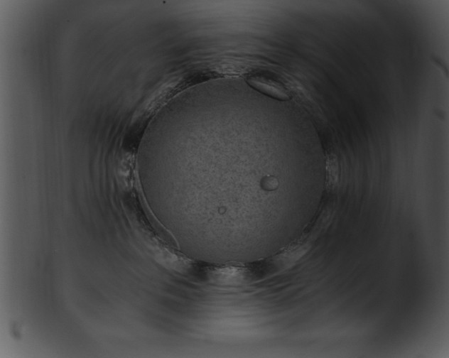 X0000101460237200807141314