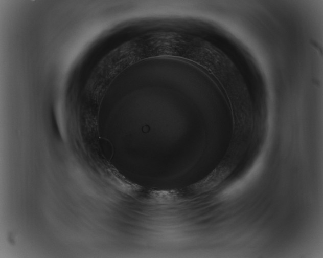 X0000101460239200807141314