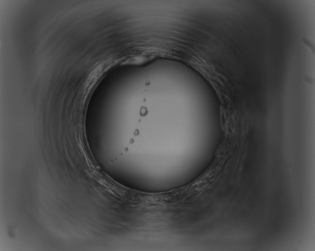 X0000101460241200807141313