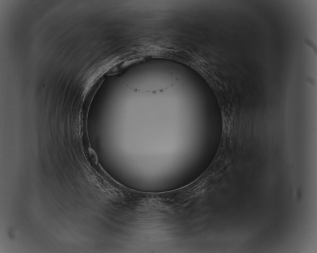 X0000101460244200807141313