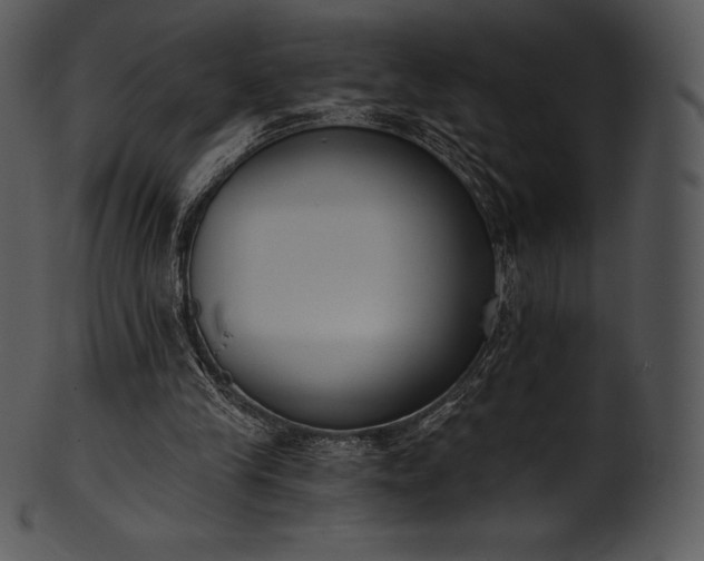 X0000101460245200807141313