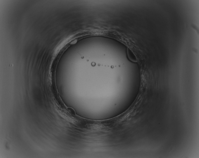 X0000101460246200807141313