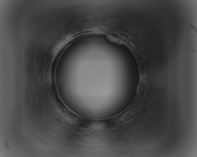 X0000101460248200807141313