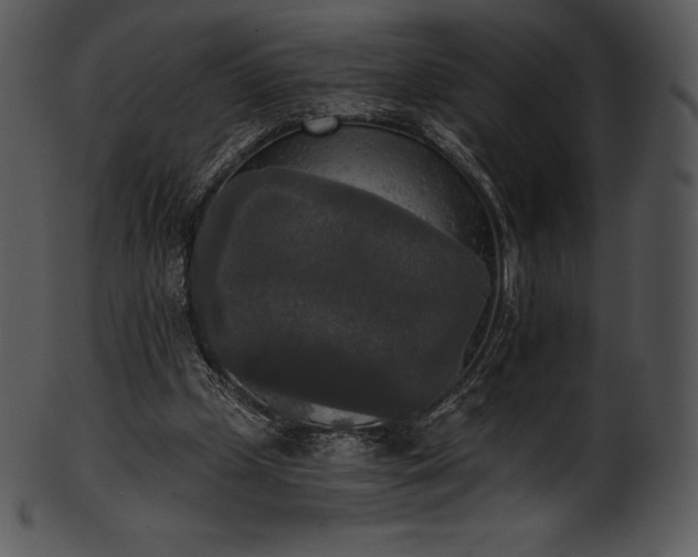 X0000101460249200807141313
