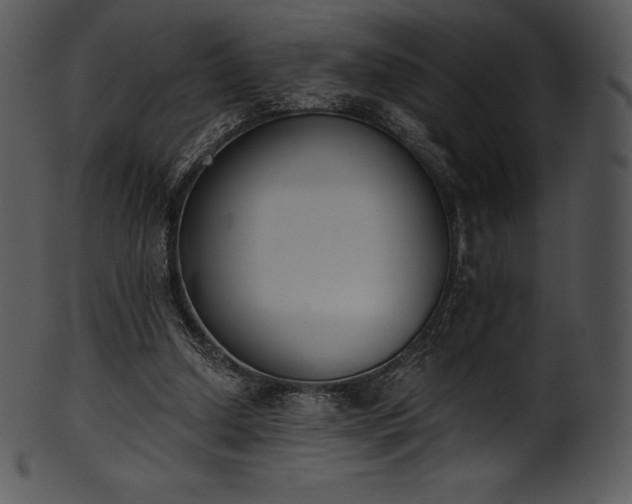 X0000101460250200807141313