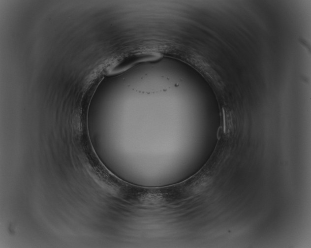 X0000101460252200807141313