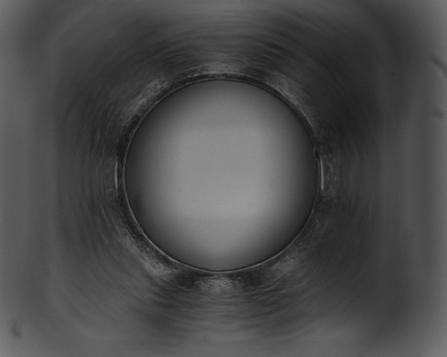 X0000101460253200807141313