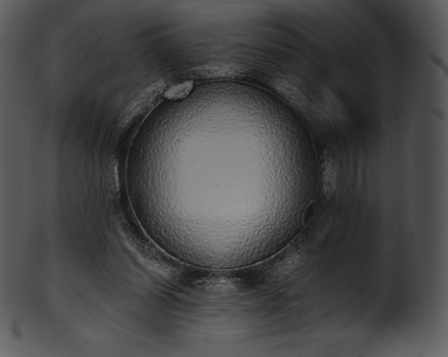 X0000101460254200807141313