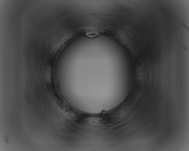 X0000101460255200807141313