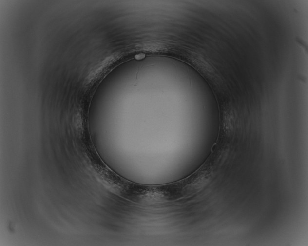 X0000101460256200807141313